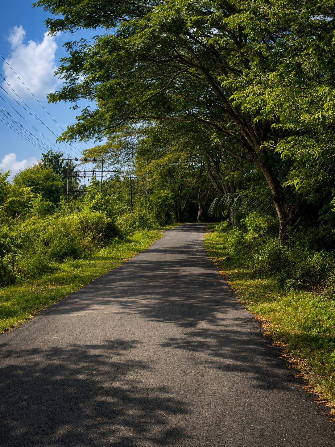 Elysian Boutique Stays in Havelock Island