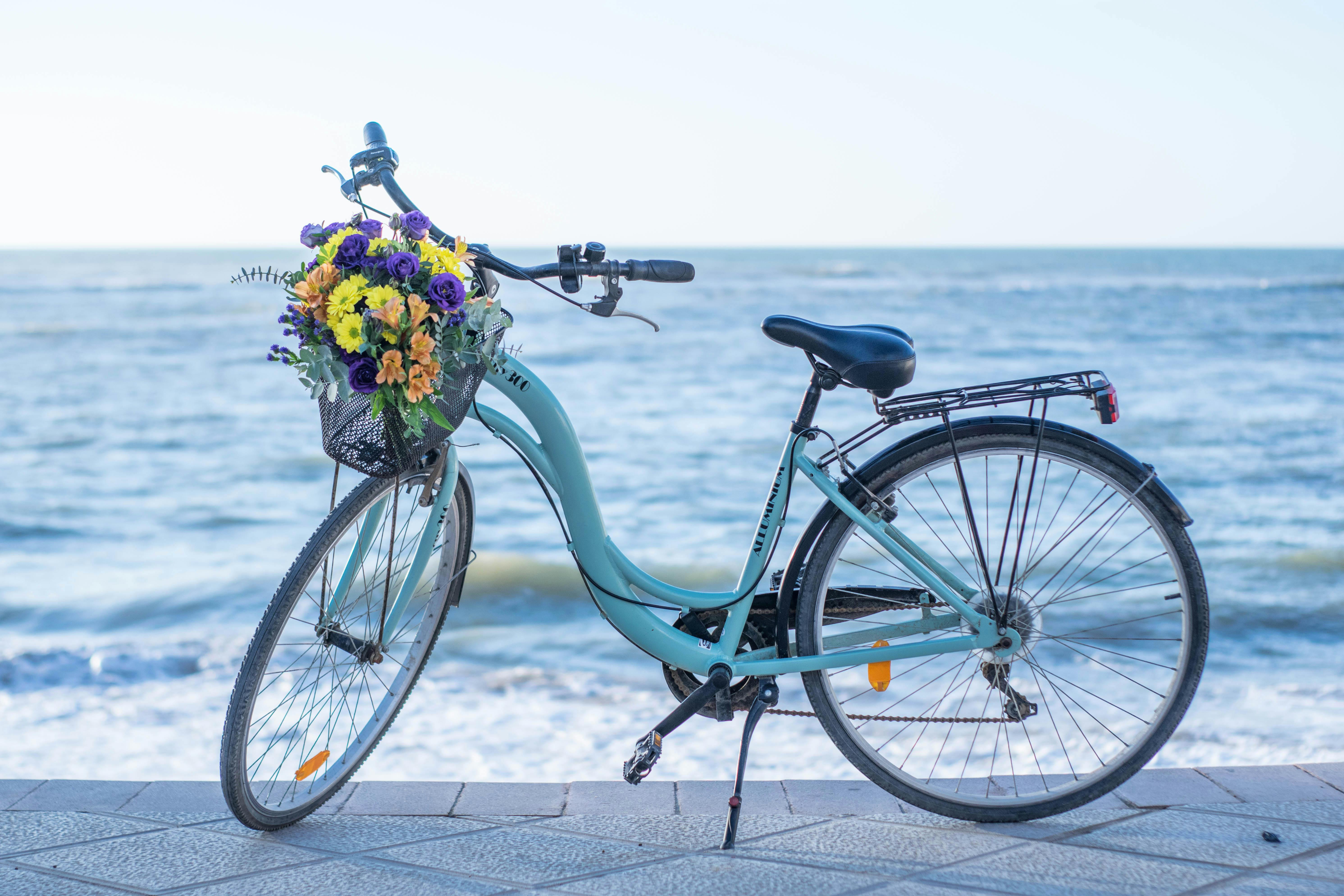 Bike Rentals